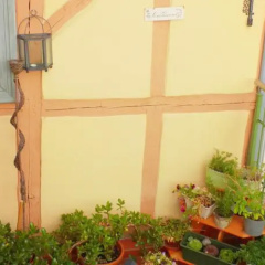 Alte Bckerei am Schlo - Bild 9