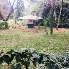 Idyllic Mistley House and Gardens Off Kamiti Road. in Nairobi, Kenya from 143$, photos, reviews - zenhotels.com photo 3