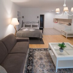 Отель WiseOwl Apartments Словакия, Банска-Штьявница - отзывы, цены и фото номеров - забронировать отель WiseOwl Apartments онлайн фото 5