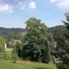 Haus zur Tanne - Bild 16