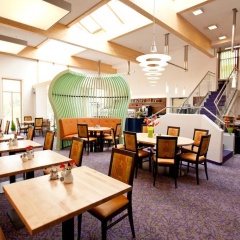 Hotel Und Appartementhof Waldeck - Bild 24