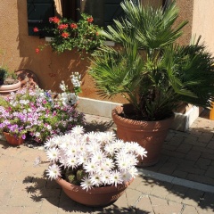 Country House Country Club - Bild 14