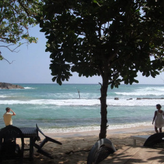 Surf Sea Breeze thumbnail 16