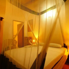 Tartaruga Hotel thumbnail 5
