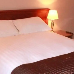 The Black Swan Inn thumbnail 23