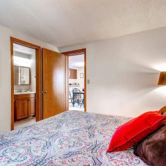 Mark IX By Peak Property Management thumbnail 5