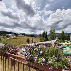 Apartment Zabljak Center in Zabljak, Montenegro from 74$, photos, reviews - zenhotels.com photo 3