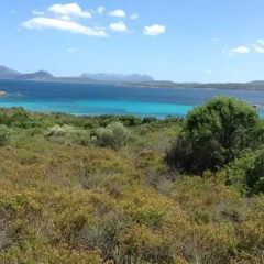 Terrabinu thumbnail 9