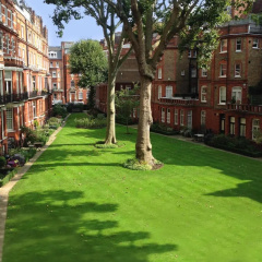 The Franklin London - Starhotels Collezione - Bild 20