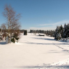 Hotel Pension Fernblick - Bild 12
