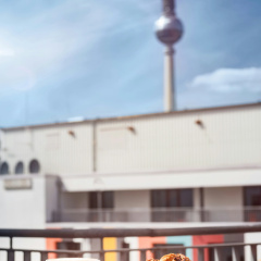 The Social Hub Berlin - Bild 23