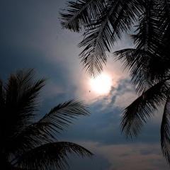 Umadewi Surf & Retreat - Bild 16