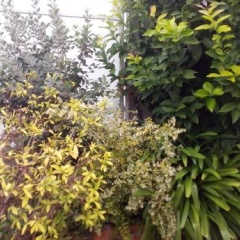 Chambres dhtes Issy-Paris - Bild 11