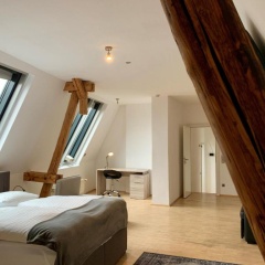 Hayk - Bild 3