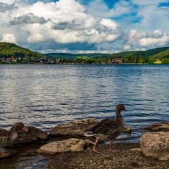 Drei Tannen - Wohnung 06 - Apartmenthaus, Titisee, nahe Badeparadies - Bild 7