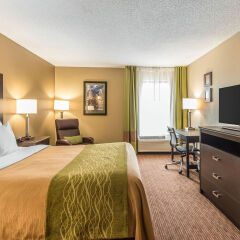 Comfort Inn & Suites Kansas City - Northeast in Kansas City, United States of America from 135$, photos, reviews - zenhotels.com guestroom