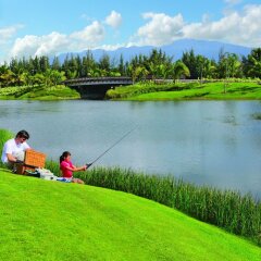 Bahia Beach Resort & Golf Club in Rio Grande, Puerto Rico from 915$, photos, reviews - zenhotels.com photo 44