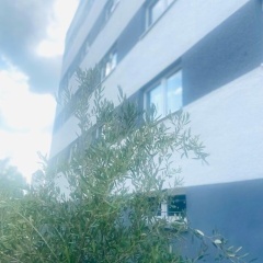Hotel 22 - Bild 16