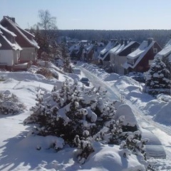 Pension Haus am Wald - Bild 1