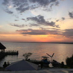 Impala Ecolodge thumbnail 11