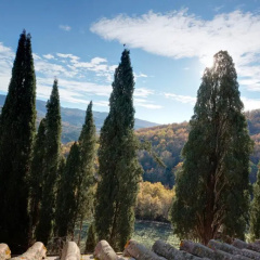 Terre di Baccio thumbnail 2