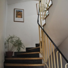 Schwalbennest - Bild 9