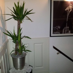 The Concert Hotel - Bild 14