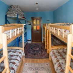 Lotus Guesthouse Mongolia in Ulaanbaatar, Mongolia from 56$, photos, reviews - zenhotels.com photo 12