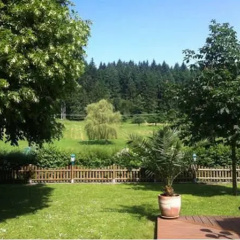 Landgasthof Hirsch - Bild 10