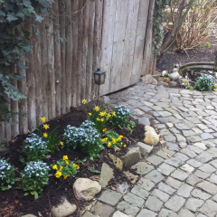 Haus Jakobi - Bild 8