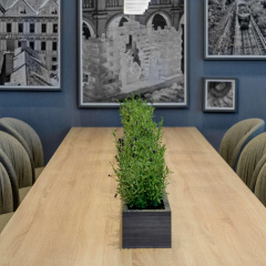 Radisson Hotel Graz - Bild 17