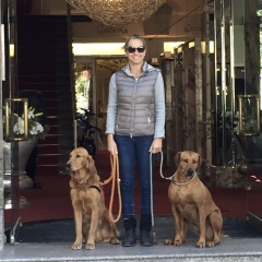Hotel Bamberger Hof Bellevue - Bild 22