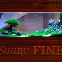 Sunny Fine Guesthouse thumbnail 10