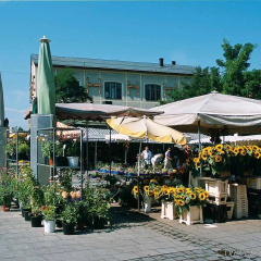 Mercure Hotel München Altstadt - Bild 14