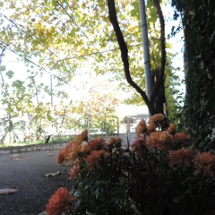Tetriani Guesthouse thumbnail 5