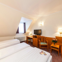 Hotel Ahl Meerkatzen - Bild 6
