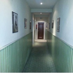 Schwarzer Adler - Bild 5