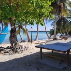 Pension Raita in Ahe, French Polynesia from 170$, photos, reviews - zenhotels.com photo 6