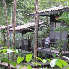 Yatama Ecolodge Sarapiqui thumbnail 5
