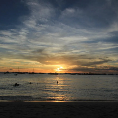The Rose Pike at Boracay thumbnail 12