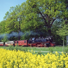 Hotel Prinzenpalais Bad Doberan - Bild 13
