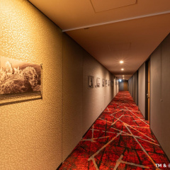 Hotel Gracery Shinjuku - Bild 27