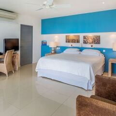 Villa Grand Bleu in Les Terres Basses, St. Martin from 487$, photos, reviews - zenhotels.com photo 34