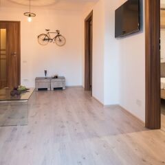 Отель Alia Accommodation Румыния, Бухарест - отзывы, цены и фото номеров - забронировать отель Alia Accommodation онлайн фото 11