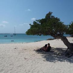 VillaSafir 15 in Noord, Aruba from 294$, photos, reviews - zenhotels.com photo 37