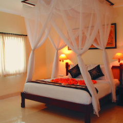 Aneka Lovina Villas and Spa - Bild 2