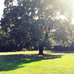 Guest House Strops thumbnail 2