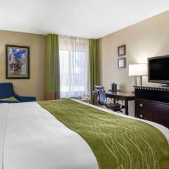 Comfort Inn & Suites Kansas City - Northeast in Kansas City, United States of America from 135$, photos, reviews - zenhotels.com photo 26