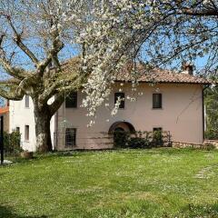 Отель A14 Pietrasanta La Dama del Bosco Италия, Пьетразанта - отзывы, цены и фото номеров - забронировать отель A14 Pietrasanta La Dama del Bosco онлайн фото 23