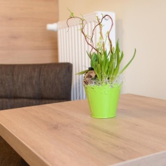 Weinhaus Graefen - Bild 10